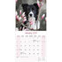 Border Collie _