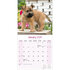 Cairn Terrier_