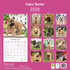 Cairn Terrier_