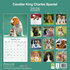Cavalier King Charles Spaniel_