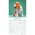 Cavalier King Charles Spaniel_