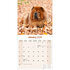 Chow Chow_