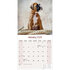 Boxer_