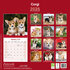Corgi_