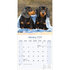 Dachshund_