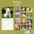Bull Terrier_