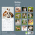 Bulldog_