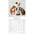 Bulldog_