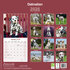 Dalmatian_
