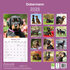Dobermann_