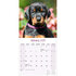 Dobermann_