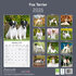 Fox Terrier_