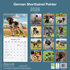 German Shorthaired Pointer_