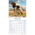 German Shorthaired Pointer_