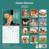 Golden Retriever_