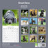 Great Dane_