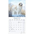 Great Pyrenees_