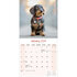 Dachshund Wire Haired_