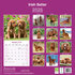 Ierse Setter_