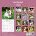 Jack Russel_