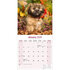 Lhasa Apso_