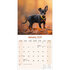 Miniature Pinscher_