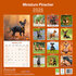 Miniature Pinscher_