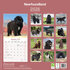 Newfoundland_