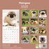 Pekingese_