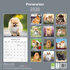 Pomeranian_