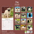 Mops_