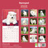 Samoyed_