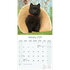 Schipperke_