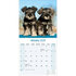 Schnauzer_