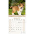 Shetland Sheepdog_