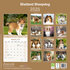 Shetland Sheepdog_