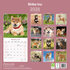 Shiba Inu_