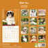 Shih Tzu_