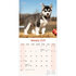 Siberian Husky_