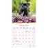 Staffordshire Bull Terrier_