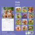 Vizsla_