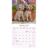 Weimaraner_