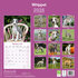 Whippet_