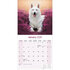 White Shepherd_