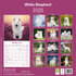White Shepherd_