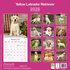 Yellow Labrador Retriever_