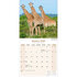 African Wildlife_