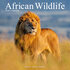 African Wildlife_