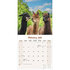 Alpacas_