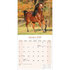 Arabian Horses_